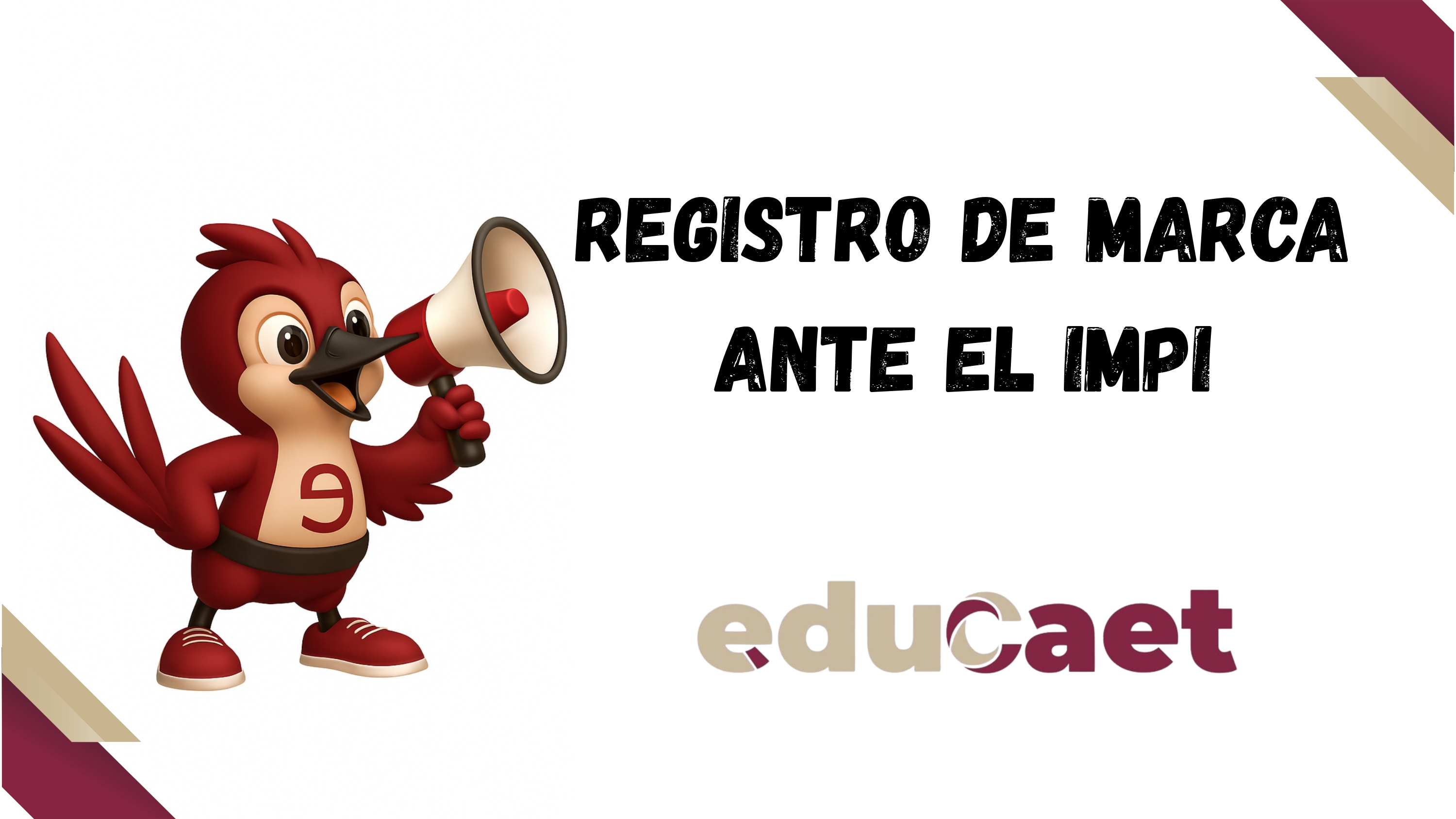 Registro de Marca ante el IMPI