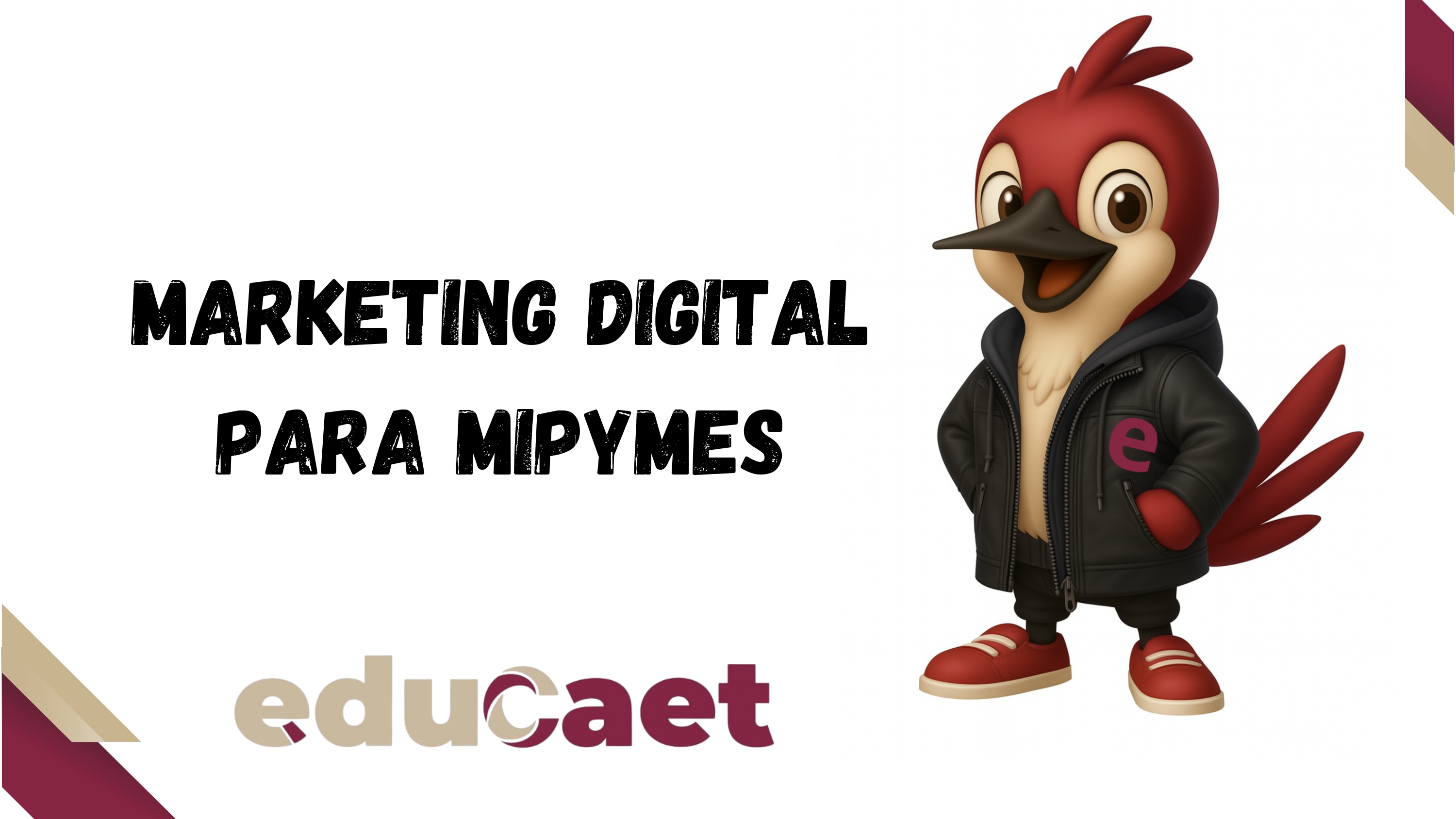 Marketing Digital para MIPyMES