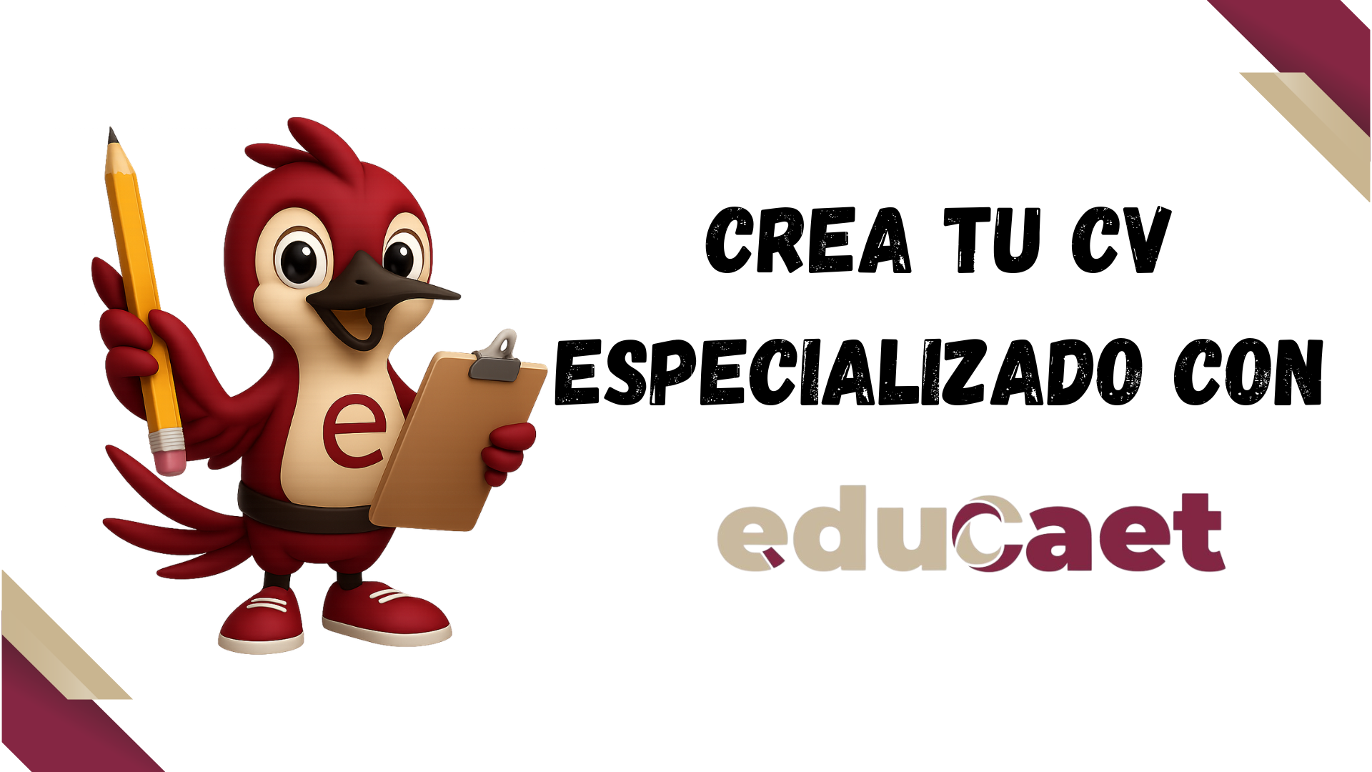 Crea tu CV especializado