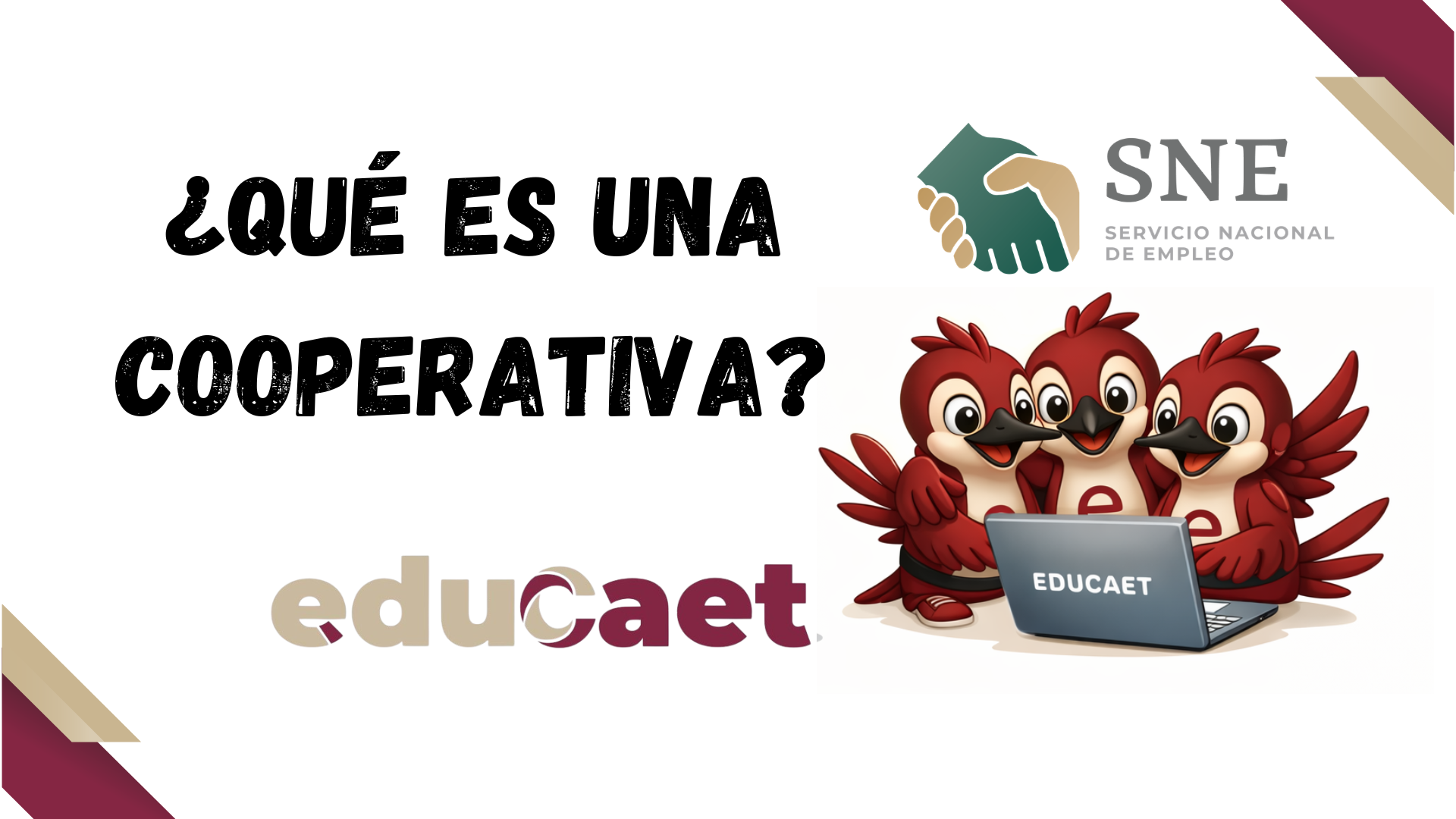 ¿Qué es una Cooperativa?